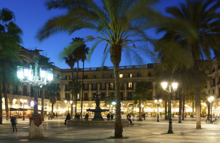 The Plaza Real, Barcelona